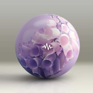 KC Supreme Bloom Drum Kit WAV