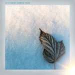 LoFi Christmas Sample Pack