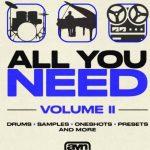 AYN All You Need Vol. 2
