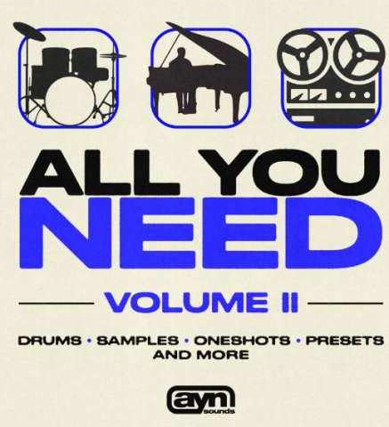 AYN - All You Need Vol. 2