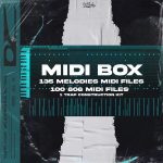 cartel loops MIDI Box 2