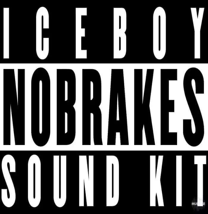 iceboy NOBRAKES SOUND KIT