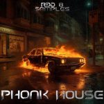 R3D 8 Samples Phonk House Sample Pack