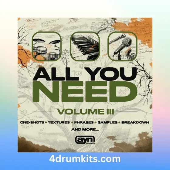 AYN SOUND ALL YOU NEED VOL 3