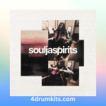 SOULJASPIRITS STASH KIT